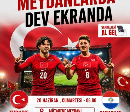 mudanya milli maç